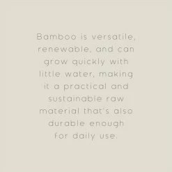 Buy 🔥 The Edited Life Bamboo Toothbrush Holder and Toothbrush 😍 9 Buy 🔥 The Edited Life Bamboo Toothbrush Holder and Toothbrush 😍 -The Edited Life sale 1000181255 alt09