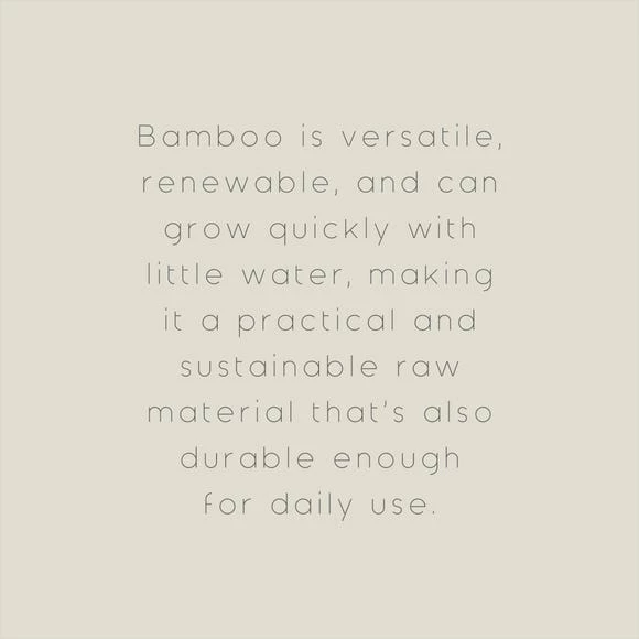 Buy 🔥 The Edited Life Bamboo Toothbrush Holder and Toothbrush 😍 6 Buy 🔥 The Edited Life Bamboo Toothbrush Holder and Toothbrush 😍 - Image 4