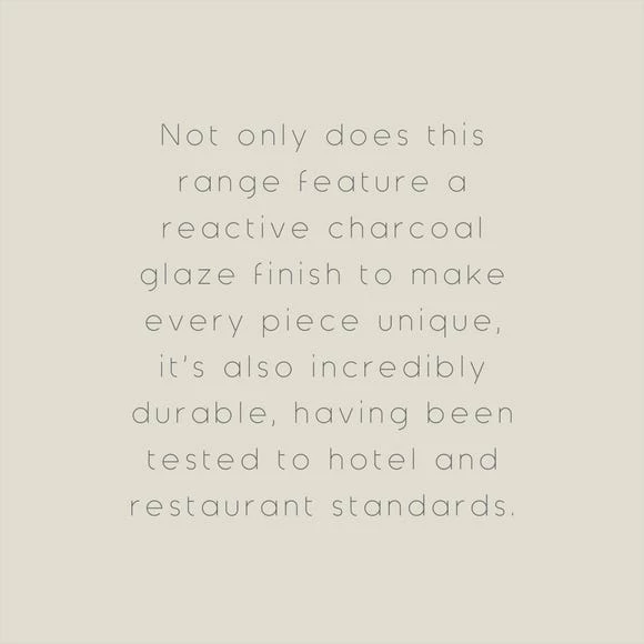 Coupon ๐ฅ The Edited Life Urban Dinner Charcoal Plate ๐ 5 Coupon ๐ฅ The Edited Life Urban Dinner Charcoal Plate ๐ - Image 3