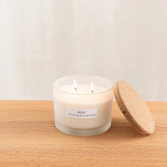 Best reviews of π The Edited Life Soy Wax Blend Mint Multi-Wick Candle π 4 Best reviews of π The Edited Life Soy Wax Blend Mint Multi-Wick Candle π - Image 2