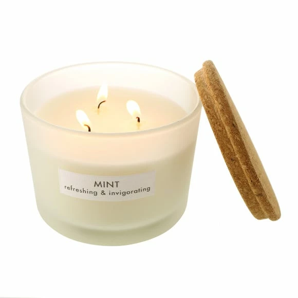 Best reviews of π The Edited Life Soy Wax Blend Mint Multi-Wick Candle π 6 Best reviews of π The Edited Life Soy Wax Blend Mint Multi-Wick Candle π - Image 4