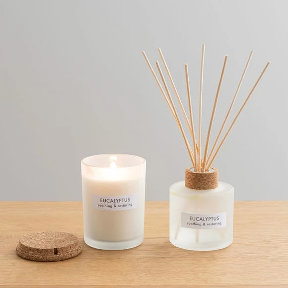 Promo ๐ The Edited Life Wellness Eucalyptus Candle and Diffuser Set โ 3 Promo ๐ The Edited Life Wellness Eucalyptus Candle and Diffuser Set โ