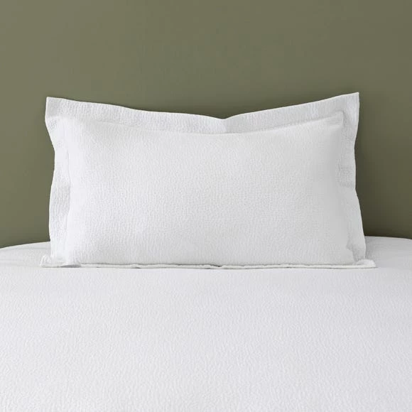 Top 10 π― The Edited Life Everlee 100% Cotton Oxford Pillowcase π 2 Top 10 π― The Edited Life Everlee 100% Cotton Oxford Pillowcase π